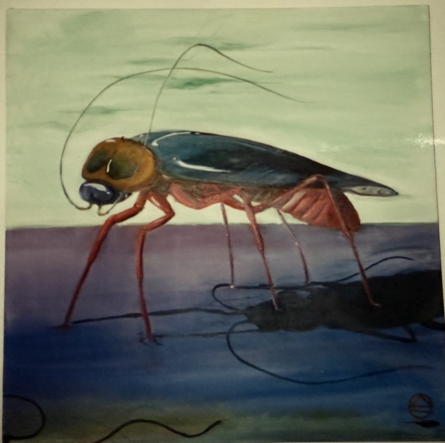  still life study of a giant Co cockroach