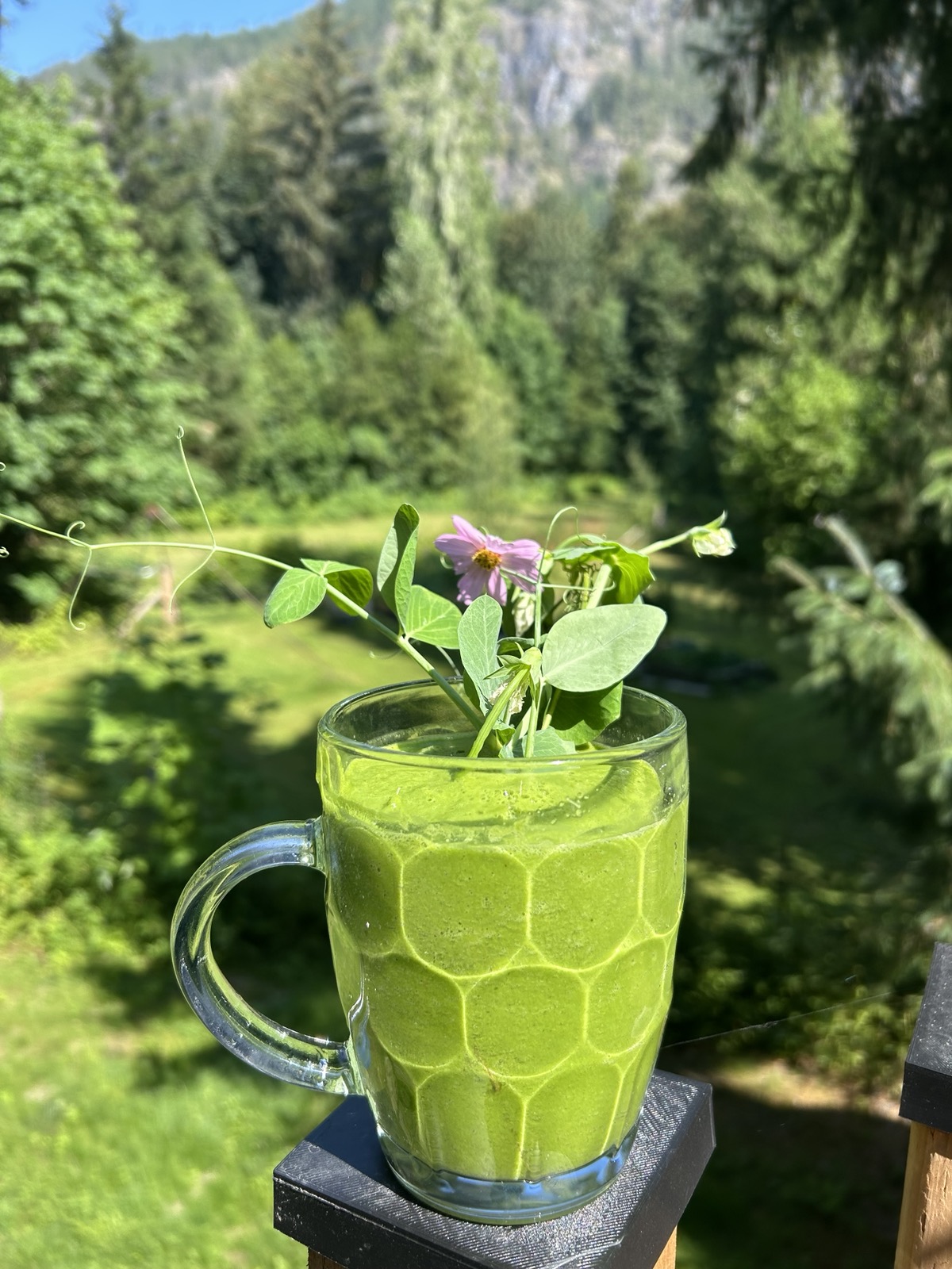 Plenty of peas, beats, and beans for green smoothies